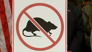 Paramount is reliable, professional and most importantly controls pests! Nassau County Legislators Seek To Resurrect Rat Extermination Program Abc7 New York