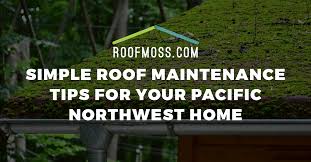 Hours may change under current circumstances Roof Moss Removal Seattle Roof Maintenance Tips To Consider Roofmoss Com