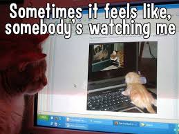 Sometimes It Feels Like Somebody S Watching Me Somebody S Watching Me Feelings Kittens