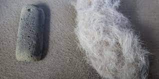 As an amazon affiliate, we earn from qualifying purchases at no cost to you. Remove Dog Hair From Your Car And Furniture In Minutes