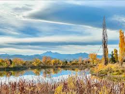 Walk in late afternoon