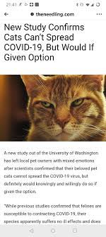 That About Sums It Up Cat Memes Mixed Emotions Pets Cats
