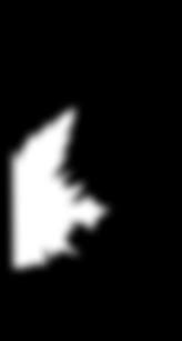 Behold, I am doing a new thing; now it springs forth, do you not perceive  it? I will make a way in the wilderness and rivers