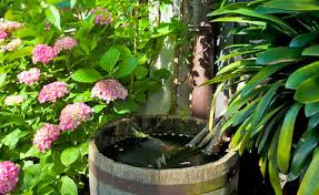 Regenwassernutzung Im Garten 5 Tipps Mein Schoner Garten