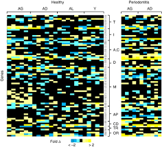 Hypoxia‐inducible transcription factors, HIF1A and HIF2A, increase in aging  mucosal tissues