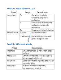 This hub will focus on the stages of mitotic cell division. Recall The Phases Of The Cell Cycle Phase Stage Description
