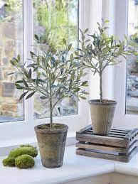 Check spelling or type a new query. Small Faux Olive Tree Small Fake Olive Tree Small Olive Tree