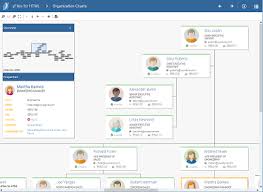 73 Ageless Angular Organization Chart