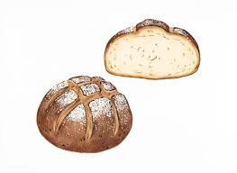 Freshly Baked Sourdough Bread Hand Drawn Illustration Free Image By Rawpixel Com Sourdough Bread Baking Drawing Sourdough