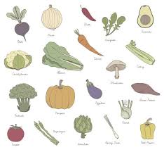 Differents Types De Legumes Griffonnages Vecteur Graphique