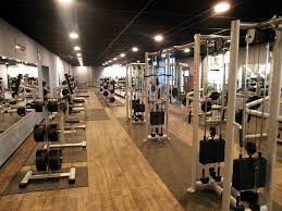 Mcfit models ist die grösste sportmodelagentur europas. Mcfit Google Search Mcfit