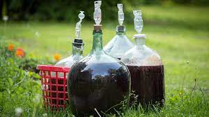 Temperatura de fermentare a vinului alb. Cum Se Face Vinul De Casa Preparare Fermentare Tratare