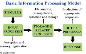 A Well Illustrated Overview On The Information Processing Theory Psychologenie Information Processing Information Processing Theory Theories