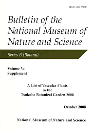 Image result for Ancistrorhynchus ovatus