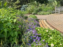 Elements of Nature: Earth, Air, Fire and Water