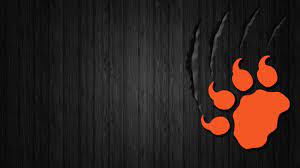 1365 x 1024 jpeg 95 кб. Bc Lions Den On Twitter Does Your Laptop Use 1600x900 Resolution We Whipped Up A Bclions Wallpaper To Keep Your Lions Pride Through The Off Season Cfl Https T Co V1rsjl5mxk