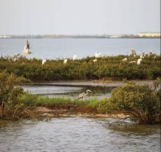 Aransas Pass Makes a Perfect Summer Weekend Getaway