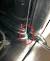 Dishwasher Door Gasket