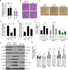 A & b pest control co eden sihtnumber 27288. Toosendanin Inhibits Adipogenesis By Activating Wnt B Catenin Signaling Scientific Reports