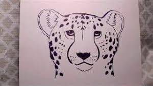 After that, in the upper part of the head, depict the ear. How To Draw A Realistic Cheetah Face Youtube