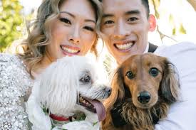 Testimonials for Mark Bond Weddings