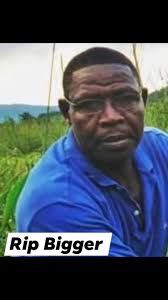 THE BEST OF ST. BESS