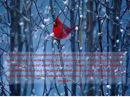 A Cardinal Is A Representative Of A Loved One Who Has Passed When You See One It Means They Are Visiting You They Usually Sh Cardinals Miss You Dad Miss Mom