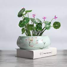 Check spelling or type a new query. Big Ceramic Lotus Flower Pots Creative China Style Green Plant Holder Orchid Bonsai Balcony Indoor Succulent Pot Factory Direct Flower Pots Planters Aliexpress