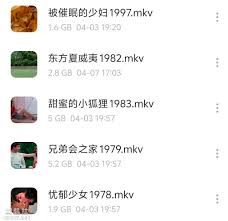 限制级 电影X 大尺度 佳作 变态 夫妻 虐杀 刺激 挑战 感官