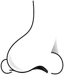 Nose Clipart Black And White Nose Black And White Transparent Free For Download On Webstockreview 2021 1558 x 2400 117 0 2. webstockreview