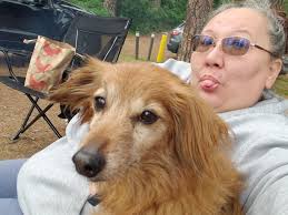 Two loose dogs at Torch Preserve, friendly