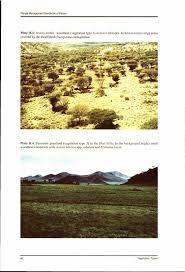 Image result for Duosperma