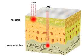 Znalezione obrazy dla zapytania: promieniowania UVA UVB UVC