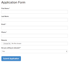 how do i customize the application form