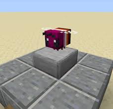 :) feel free to use!!!! The Minecraft Bee Is Trans Know Your Meme