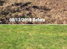 A simple way to remove weeds from a lawn is to use sugary water around the bass of the weed. How To Make Grass Green Fast Jl Fine Finishes Llc