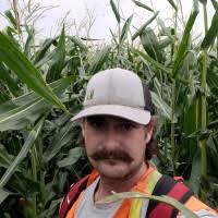 400+ "Dimarzo" profiles