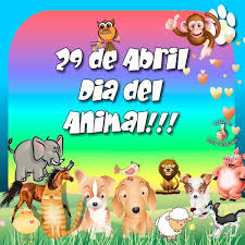 Este jueves 29 de abril se celebra el día del animal en argentina. Dia Internacional Del Animal Imagenes Con Frases Para Compartir En Facebook Dia Del Animal Derechos De Los Animales Imagenes De Animales