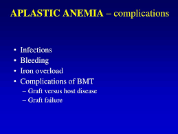 Ppt Aplastic Anemia Powerpoint Presentation Free Download Id 3355708