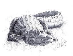 Pin On Gators