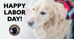 1 the best dog food for small dogs — everything you need to know. Hi Standard Dog Food Photos Facebook