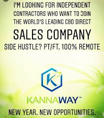 Pin By Jill Cohen On Cbd New Opportunities Independent Contractor Direct Sales Companies