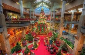 Mall Christmas St Louis Zoo St Louis Mo Famous Saints