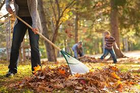 Simple Guidelines to Help Avoid Leaf Raking Injuries