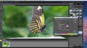 Photoshop Elements 10 Tutorial Magic Wand And Quick Selection Tools Photoshop Elements Photoshop Photography Photoshop Lightroom