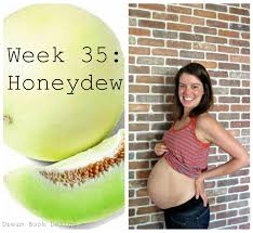35 Weeks Pregnant Dream Book Design