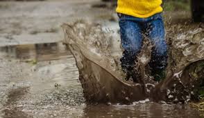 Inshaallah will be reply later'feeling sheepish'. Mengenal Leptospirosis Penyakit Dari Kencing Tikus Saat Banjir