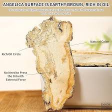 Amazon.com : DOZO Dong Quai Root Premium Angelica Root 10.58oz300g  Angelica Sinensis Premium Dang Gui 100% Natural Angelica Root Slices  Replenish Qi ...