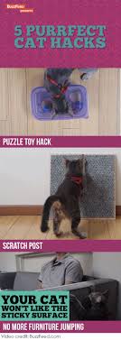 5 Purrrrfect Cat Hacks I Heart Pets Cat Hacks Cat Care Cat Diy