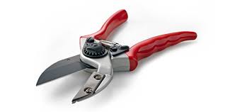 Maybe you would like to learn more about one of these? Darlac Ltd The Cutting Edge Of Gardening